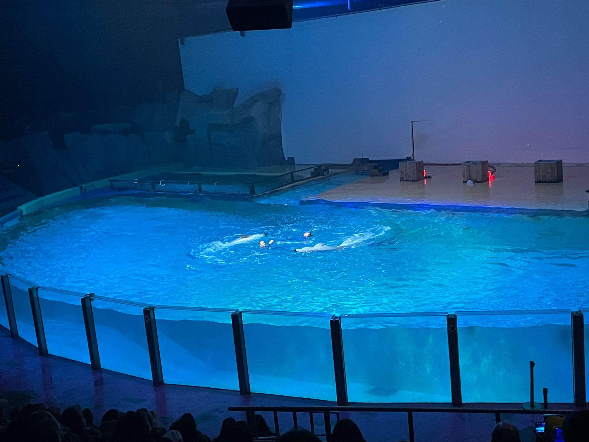 Sint-Martinus den XIIde - Winterkamp JVK 2024